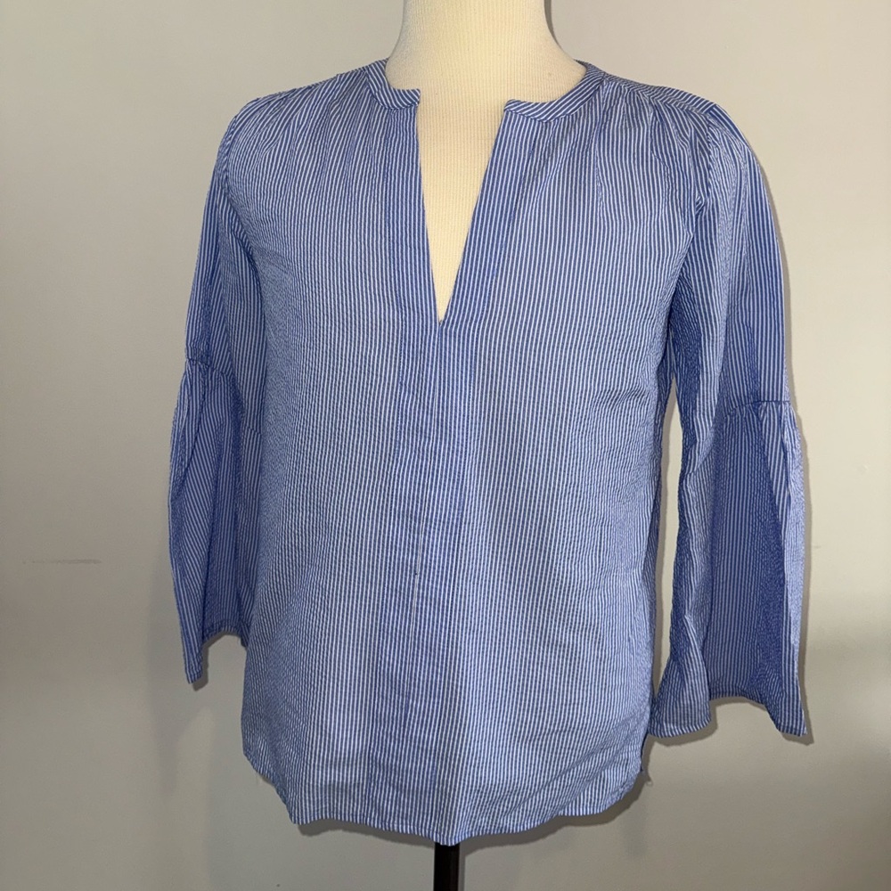 Blue striped Ann Taylor top.